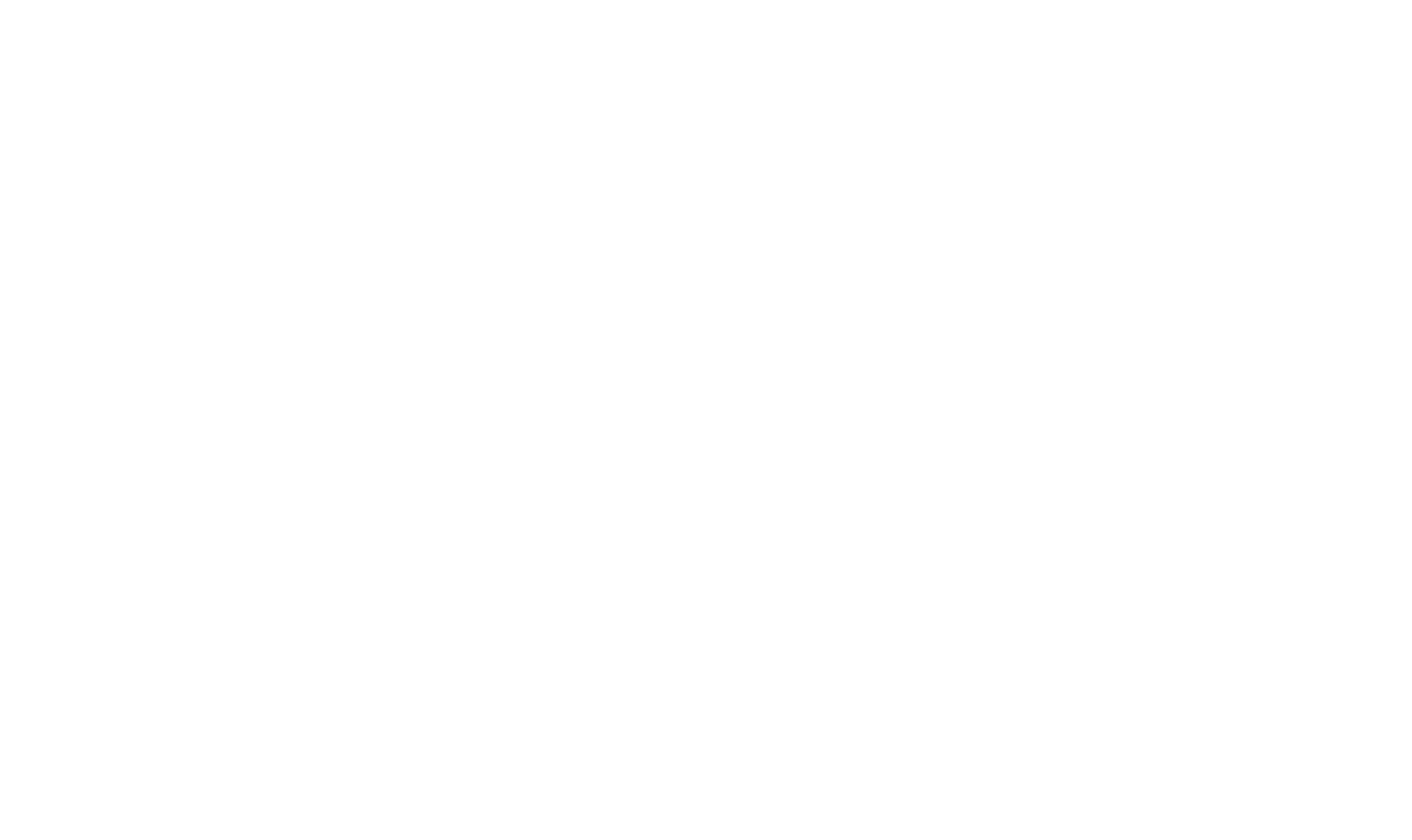 Fly Fish